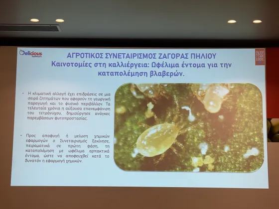 zagorin