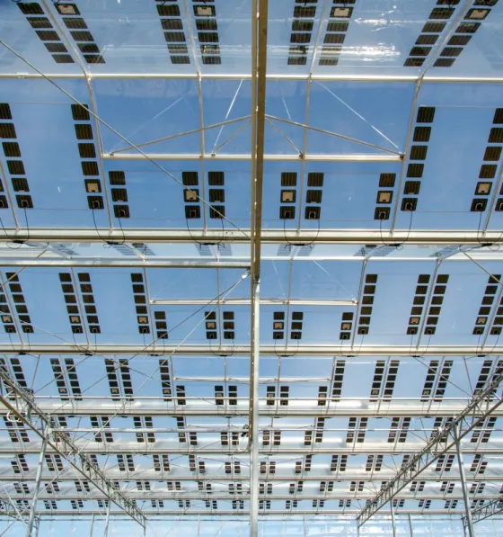 Brite Solar III