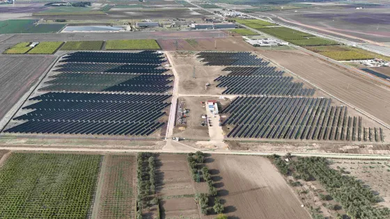 fv_Italy_luxenia2