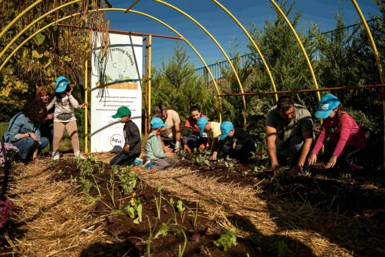 ΔΕΗ Carbon Farming Schools