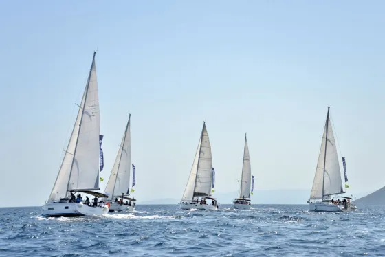 REGATTA