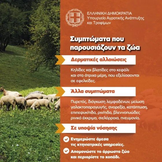 ΚΑΡΤΑ 3.