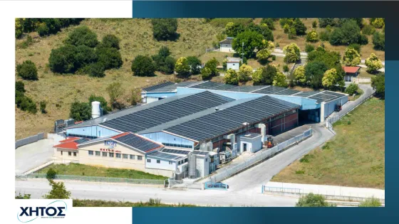 ΧΗΤΟΣ Κρανούλα