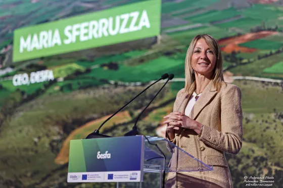 sferruzza desfa.