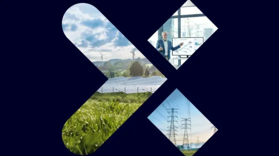 Smart Grids