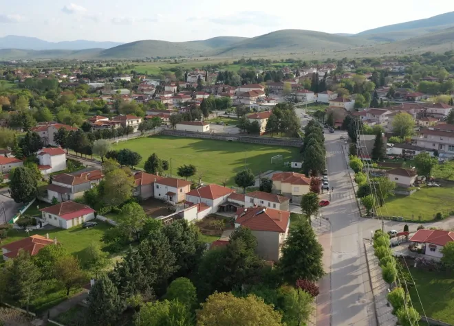 Mavrodendri