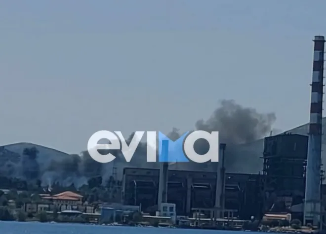 fwtia-aliveri