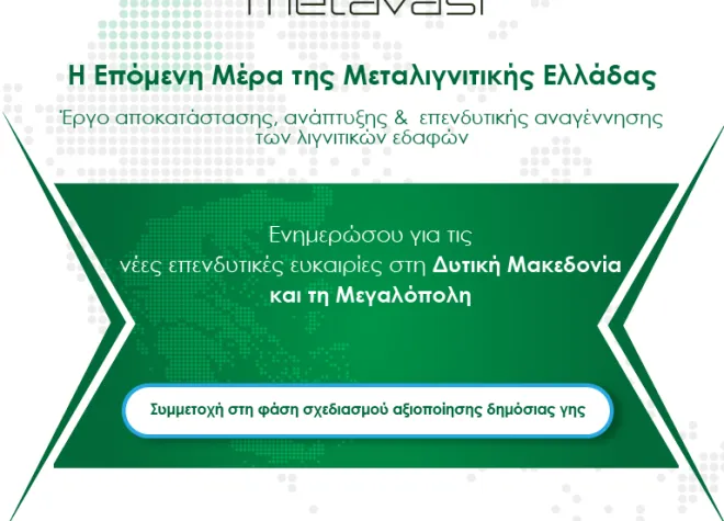 metavasi