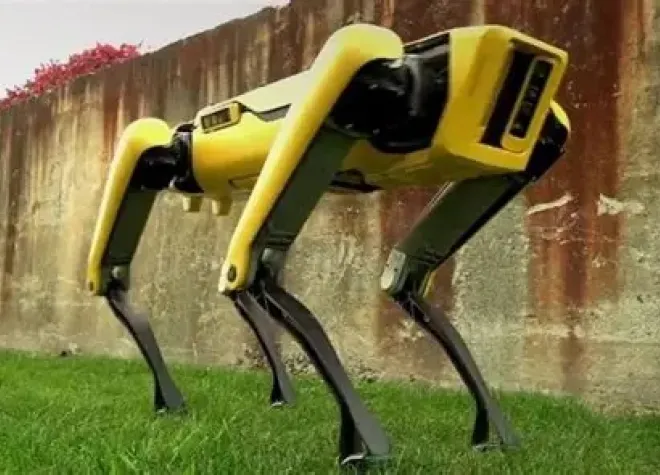 robo-dog