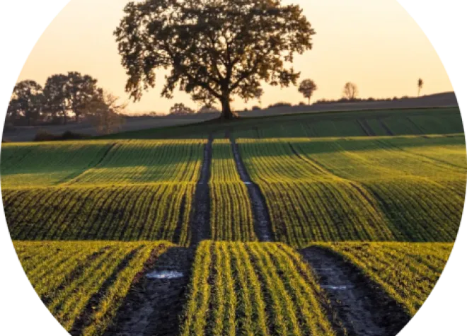 Carbon_Farming_Circular_Bioeconomy