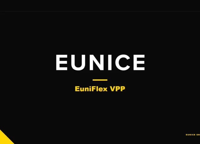 EuniFlex_VPP_EUNICE