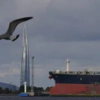 petrelaio