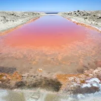 salton sea