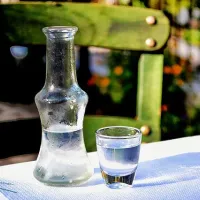 OYZO TSIPOURO