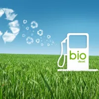 biodiesel