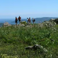 tourismos