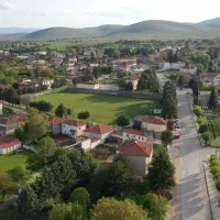 Mavrodendri