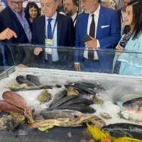 Κέλλας