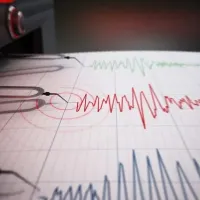 seismos