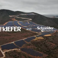 SE-Kiefer