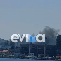 fwtia-aliveri