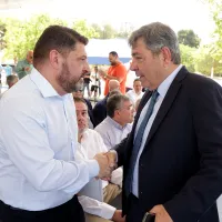 xardalias