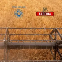 Βυνη Θράκης - Βεργίνα.JPG