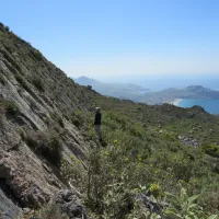 χαρτογράφηση ρηγμάτων