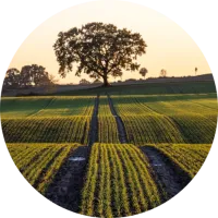 Carbon_Farming_Circular_Bioeconomy