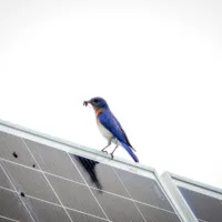 φωτοβολταϊκές εγκαταστάσεις