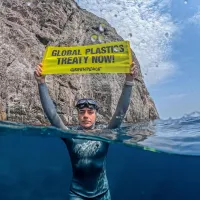 ©Diana Rey Melo_Greenpeace