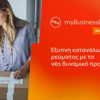 ΔΕΗ myBusiness Dynamic