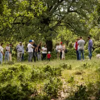 draseis fysis kai politimou apokries sta meteora 