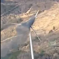 fotia anemogennitria south korea.