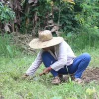 αγρότης Φιλιππίνες