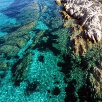 Θαλάσσιο Πάρκο