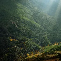 natura