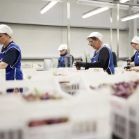 κλάδος τροφίμων και ποτών 