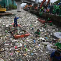 manila