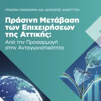 prasini-metavisi