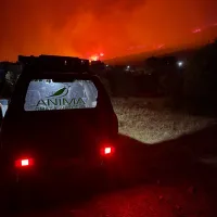 ANIMA