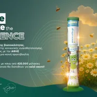 Κωτσόβολος_ΑΦΗΣ - Bee the Change