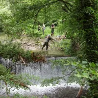 Δειγματοληψίες ψαριών και ασπονδύλων ανάντητου παρωχημένου φράγματος στο Βαθύρεμα Ευρώτα. (έργο ReFlow) – © Γ. Γκουνέζος, MedINA.