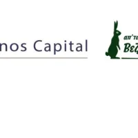 elikonos capital veziroglou.