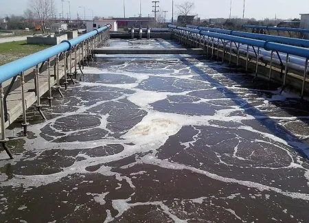 viologikos-katharismos