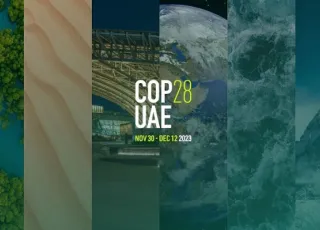 COP28