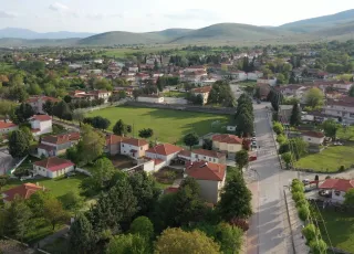 Mavrodendri