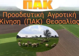 logoΠΑΚ ΘΕΣΣΑΛΙΑΣ