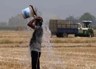INDIA_WHEAT_HEATWAVE