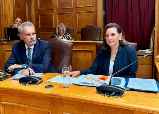 κεφαλογιαννη